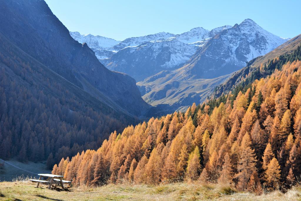 Sankt Sigmund im SellrainHaus Sonnenalmアパートメント エクステリア 写真